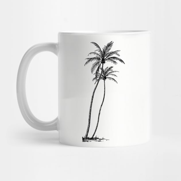 Palm Trees by linesdesigns